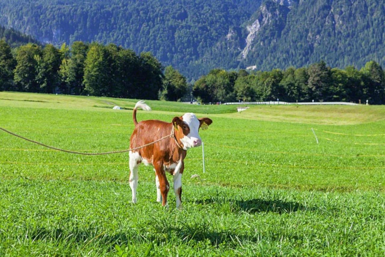 Vila Triembachhof Schönau am Königssee Exteriér fotografie