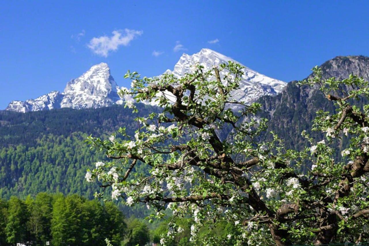 Vila Triembachhof Schönau am Königssee Exteriér fotografie